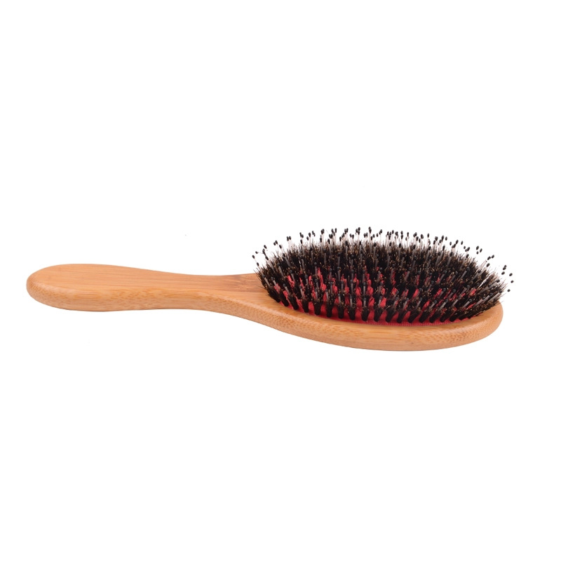 bristle-hair-brush<!--[