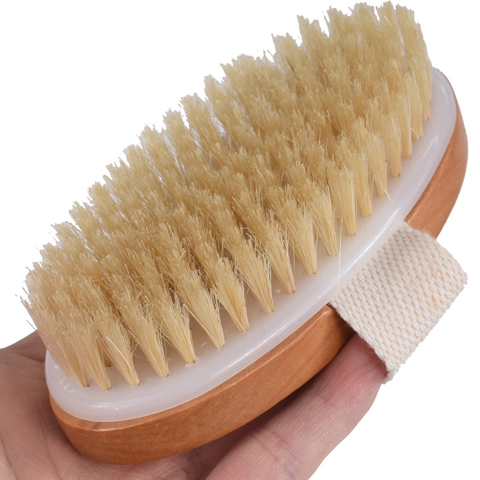 body-bath-brush-m-xz110-10-china<!--[