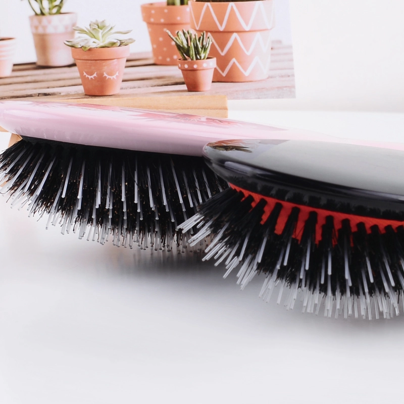 nylon-mixed-boar-bristle-hair-brush-s-qd22d-3-factory<!--[