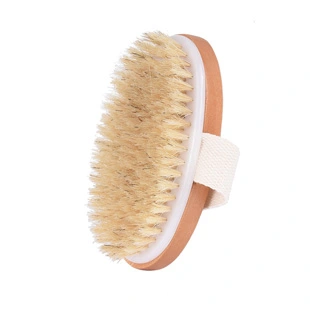 back-brushes-for-the-shower