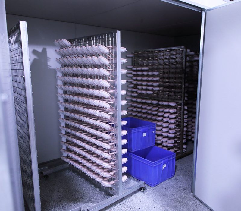 Drying Room